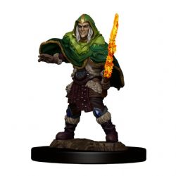 ROLEPLAYING MINIATURES -  MALE ELF FIGHTER -  DUNGEONS & DRAGONS ICONS OF THE REALMS